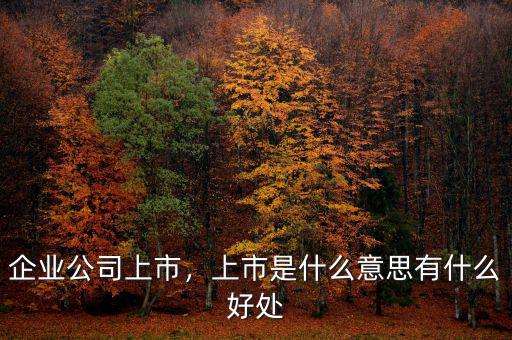 企業(yè)公司上市，上市是什么意思有什么好處