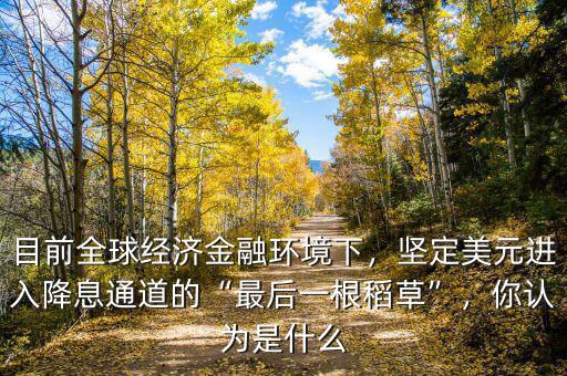 目前全球經(jīng)濟金融環(huán)境下，堅定美元進入降息通道的“最后一根稻草”，你認為是什么