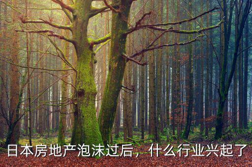 日本房地產(chǎn)泡沫過后，什么行業(yè)興起了