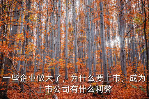 一些企業(yè)做大了，為什么要上市，成為上市公司有什么利弊