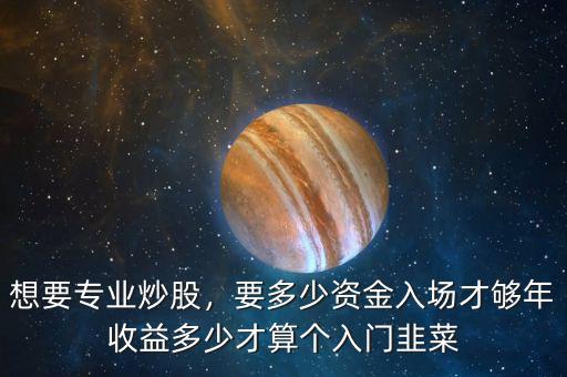 想要專業(yè)炒股，要多少資金入場才夠年收益多少才算個入門韭菜