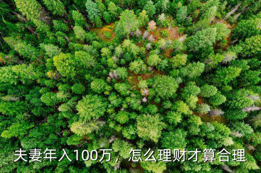 夫妻年入100萬，怎么理財才算合理