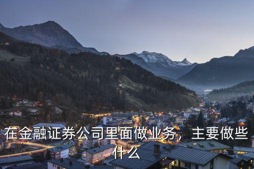 在金融證券公司里面做業(yè)務(wù)，主要做些什么