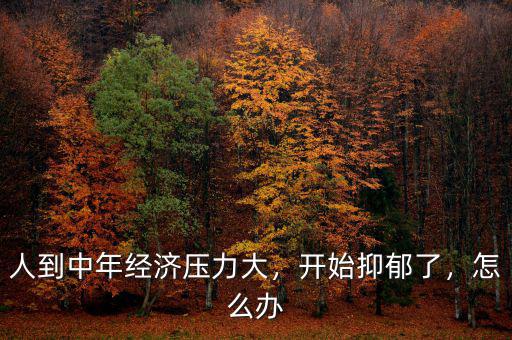 人到中年經濟壓力大，開始抑郁了，怎么辦