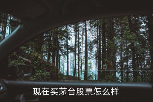 現在買茅臺股票怎么樣