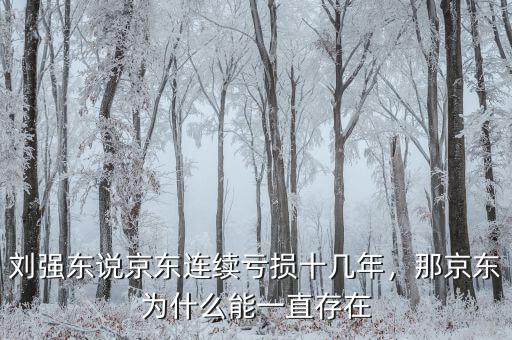 劉強(qiáng)東說京東連續(xù)虧損十幾年，那京東為什么能一直存在