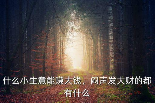 什么小生意能賺大錢，悶聲發(fā)大財?shù)亩加惺裁? class=