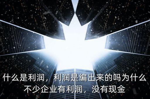 什么是利潤(rùn)，利潤(rùn)是編出來的嗎為什么不少企業(yè)有利潤(rùn)，沒有現(xiàn)金