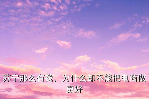 蘇寧那么有錢，為什么卻不能把電商做更好