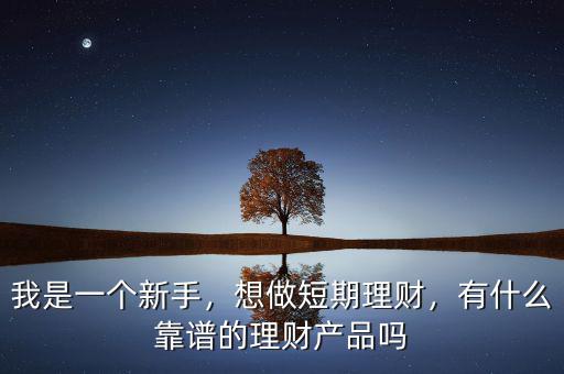 我是一個(gè)新手，想做短期理財(cái)，有什么靠譜的理財(cái)產(chǎn)品嗎