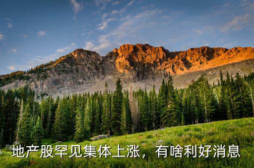 地產(chǎn)股罕見集體上漲，有啥利好消息