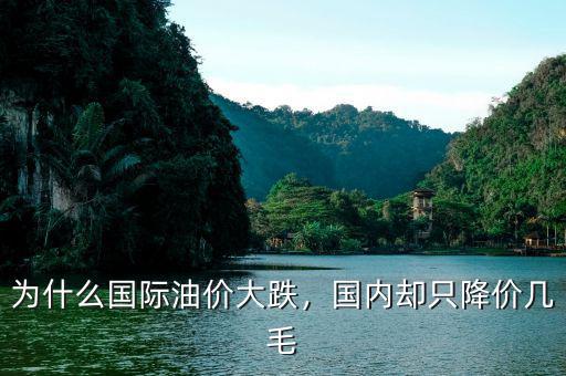 為什么國際油價(jià)大跌，國內(nèi)卻只降價(jià)幾毛