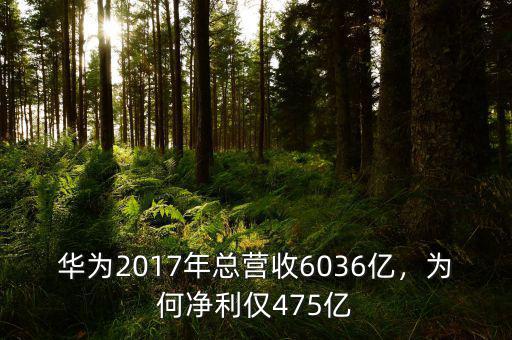 華為2017年總營(yíng)收6036億，為何凈利僅475億