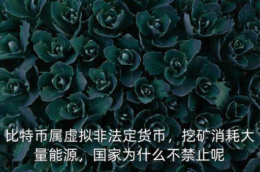 比特幣屬虛擬非法定貨幣，挖礦消耗大量能源，國家為什么不禁止呢