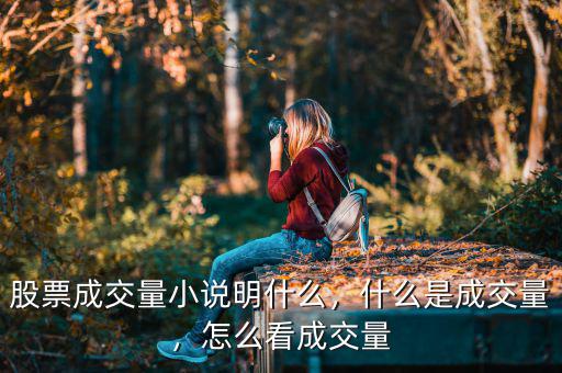 股票成交量小說明什么，什么是成交量，怎么看成交量