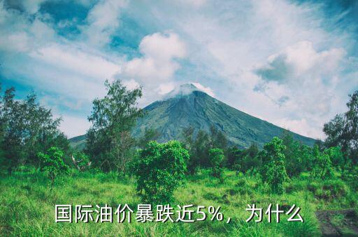 國際油價暴跌近5%，為什么