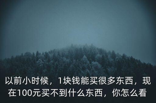 以前小時候，1塊錢能買很多東西，現(xiàn)在100元買不到什么東西，你怎么看