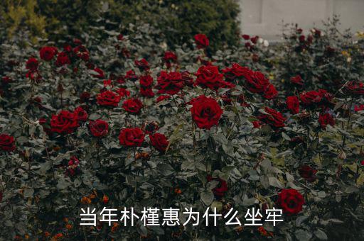 當年樸槿惠為什么坐牢