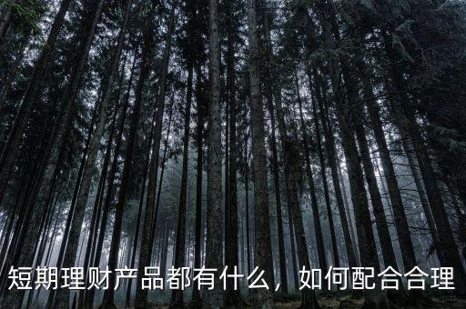 短期理財(cái)產(chǎn)品都有什么，如何配合合理