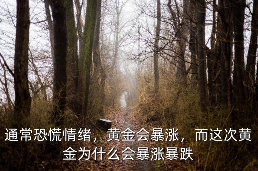 通常恐慌情緒，黃金會暴漲，而這次黃金為什么會暴漲暴跌