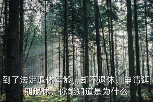 到了法定退休年齡，卻不退休，申請(qǐng)延期退休，你能知道是為什么