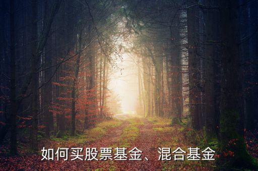 如何買(mǎi)股票基金、混合基金
