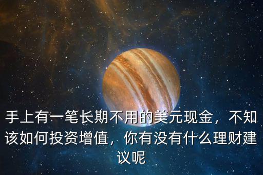 手上有一筆長(zhǎng)期不用的美元現(xiàn)金，不知該如何投資增值，你有沒(méi)有什么理財(cái)建議呢