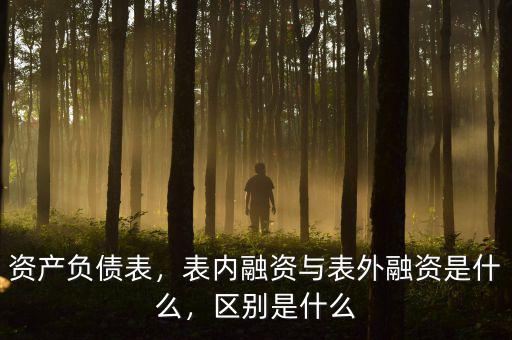 資產(chǎn)負債表，表內(nèi)融資與表外融資是什么，區(qū)別是什么