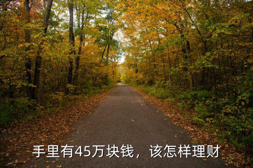 手里有45萬塊錢，該怎樣理財(cái)