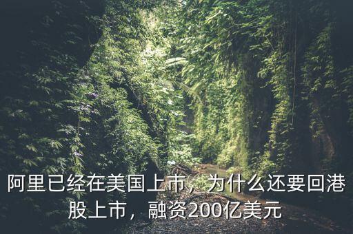 阿里已經(jīng)在美國(guó)上市，為什么還要回港股上市，融資200億美元
