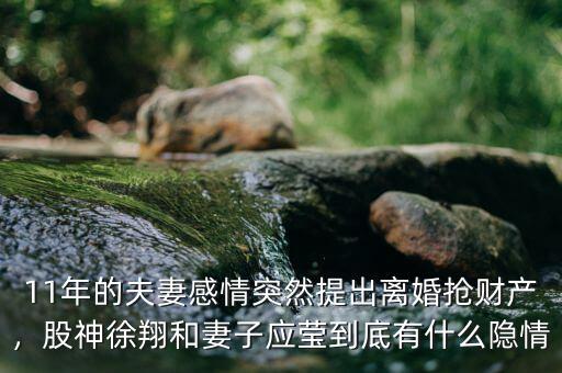 11年的夫妻感情突然提出離婚搶財(cái)產(chǎn)，股神徐翔和妻子應(yīng)瑩到底有什么隱情