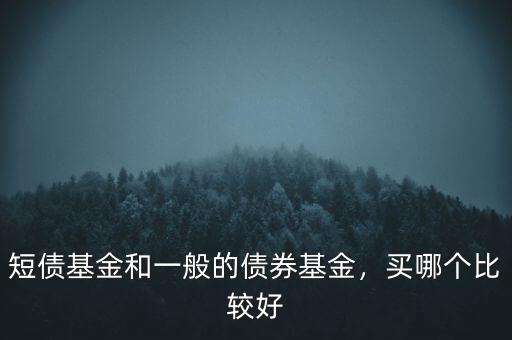 短債基金和一般的債券基金，買哪個比較好