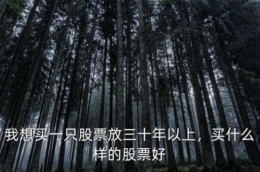 我想買一只股票放三十年以上，買什么樣的股票好