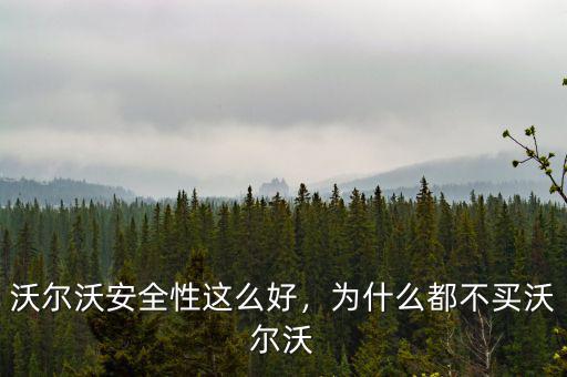沃爾沃安全性這么好，為什么都不買沃爾沃