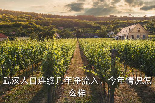 武漢人口連續(xù)幾年凈流入，今年情況怎么樣