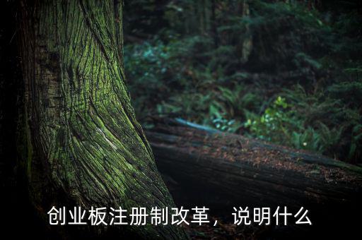 創(chuàng)業(yè)板注冊制改革，說明什么