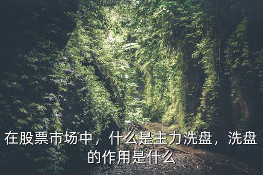 在股票市場(chǎng)中，什么是主力洗盤(pán)，洗盤(pán)的作用是什么