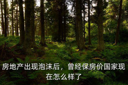 房地產(chǎn)出現(xiàn)泡沫后，曾經(jīng)保房價(jià)國家現(xiàn)在怎么樣了