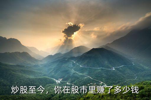 炒股至今，你在股市里賺了多少錢