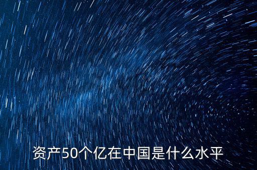 資產50個億在中國是什么水平