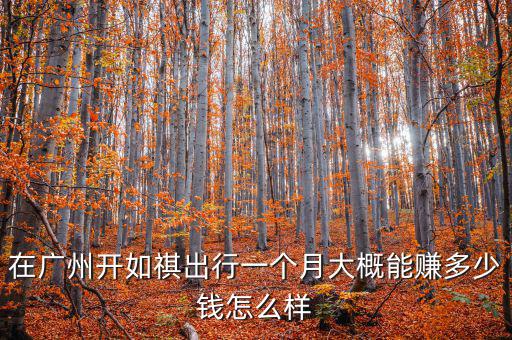在廣州開(kāi)如祺出行一個(gè)月大概能賺多少錢(qián)怎么樣
