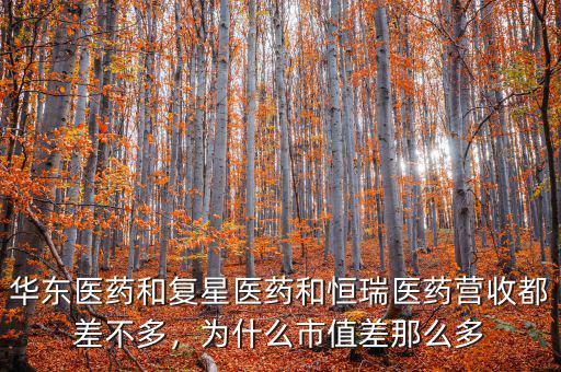 華東醫(yī)藥和復星醫(yī)藥和恒瑞醫(yī)藥營收都差不多，為什么市值差那么多