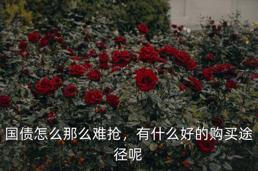國債怎么那么難搶，有什么好的購買途徑呢