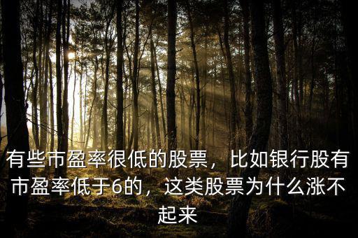 有些市盈率很低的股票，比如銀行股有市盈率低于6的，這類股票為什么漲不起來