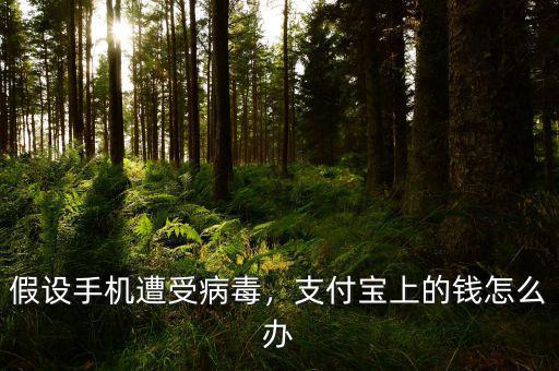 假設(shè)手機(jī)遭受病毒，支付寶上的錢怎么辦