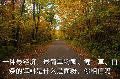 一種最經濟，最簡單釣鯽、鯉、草、白條的餌料是什么是面粉，你相信嗎