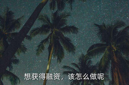 想獲得融資，該怎么做呢