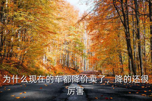 為什么現(xiàn)在的車都降價賣了，降的還很厲害