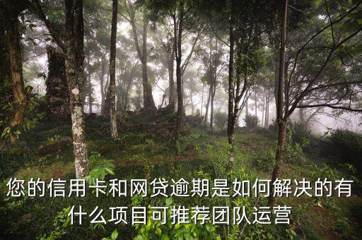 網(wǎng)貸怎么運(yùn)營,有什么項(xiàng)目可推薦團(tuán)隊運(yùn)營