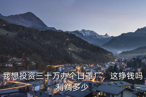 我想投資三十萬辦個口罩廠，這掙錢嗎利潤多少